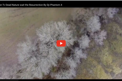 Tovoion Tv 2 Dead Nature wait the Resurrection By Dji Phantom 4(Βίντεο του 2016)