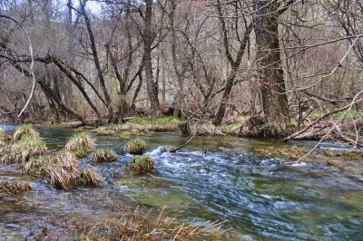 Φωτοδιαδρομή Μέρος Β’ – Περπατώντας την Πραμόρτσα   κοντά στο Πέτρινο Γεφύρι,ανάμεσα στην Λούβρη και το Κριμήνι Βοΐου 31/3 /2024