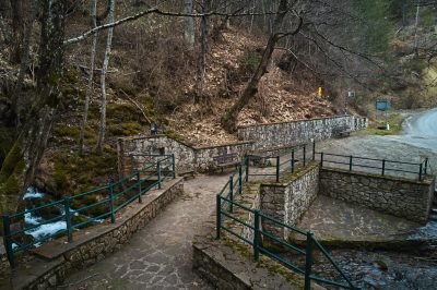Φωτοδιαδρομή: Το Πευκόφυτο Καστοριάς 24/2/2025