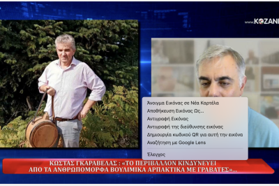 Ο κτηνοτρόφος Κώστας Γκαραβέλας μιλάει στο kozani.tv για τη Βουνάσα που κινδυνεύει από τα πράσινα αρπακτικά ! (video)
