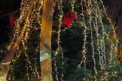 Με κέφι και χαμόγελα ο Δήμος Βοΐου μπήκε και επίσημα στην εορταστική περίοδο Φωταγώγηση Χριστουγεννιάτικων Δέντρων σε Πεντάλοφο, Γαλατινή και Εράτυρα