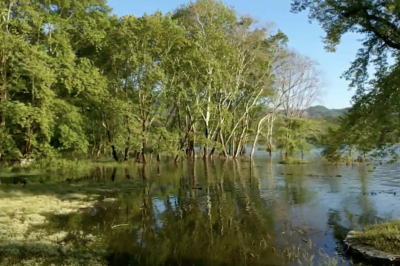 Tovoion Tv Ζωντανή Διαδρομή στο Πευκοδάσος του Ρυμνίου 29/4/2026 (Live Video)